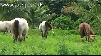 เอากัน หีไทย หีโดนเย็ด หีน้ำแตกใน หนังไทย